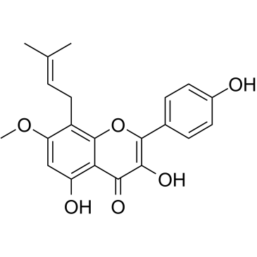 IsoanhydroicaritinͼƬ