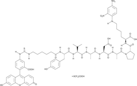 FITC-C6-YVADAP-K(Dnp)(trifluoroacetate salt)ͼƬ