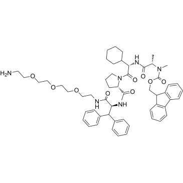 E3 ligase Ligand-Linker Conjugates 44ͼƬ