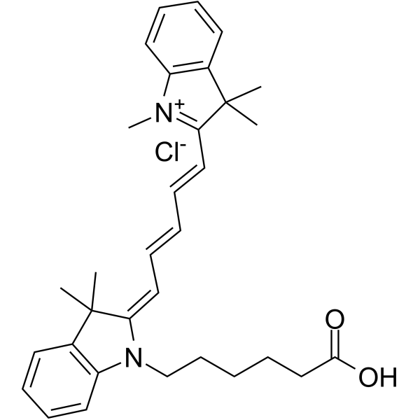 Cyanine5 carboxylic acid chlorideͼƬ