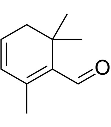 SafranalͼƬ