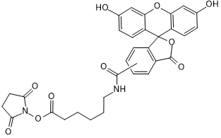 5(6)-SFX(Fluorescein),SEͼƬ