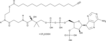 Palmitoyl Alkyne-Coenzyme A(trifluoroacetate salt)ͼƬ