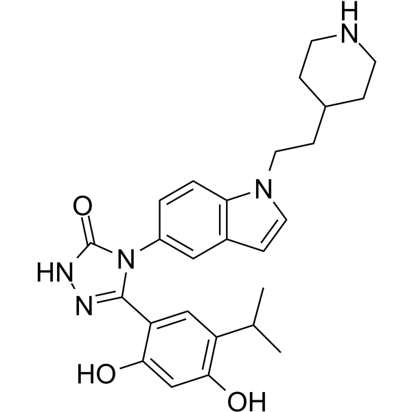 DP-1图片