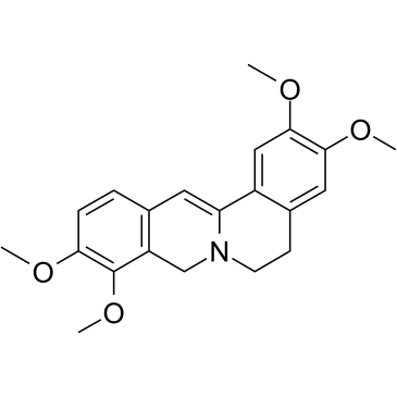 DihydropalmatineͼƬ