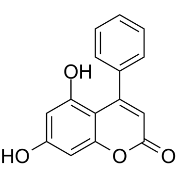 LC3-mHTT-IN-AN2ͼƬ