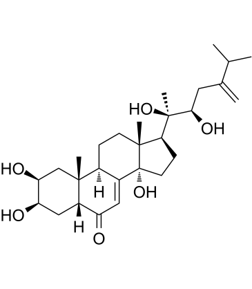 Polyporusterone B图片