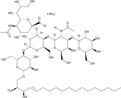 Lyso-Monosialoganglioside GM1(ammonium salt)ͼƬ