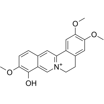 PalmaturbineͼƬ