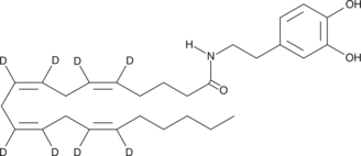 N-Arachidonoyl Dopamine-d8ͼƬ