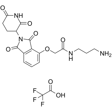 Thalidomide-O-amido-C3-NH2(TFA)ͼƬ