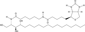 C6 Biotin Phytoceramide(t18:0/6:0)ͼƬ