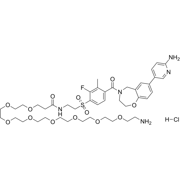 XL388-C2-amide-PEG9-NH2 hydrochlorideͼƬ