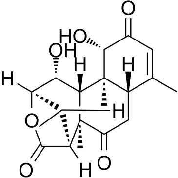 EurycomalactoneͼƬ