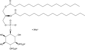 PtdIns-(4,5)-P2(1,2-dipalmitoyl)(sodium salt)ͼƬ