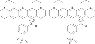 Sulforhodamine 101 Sulfonyl ChlorideͼƬ