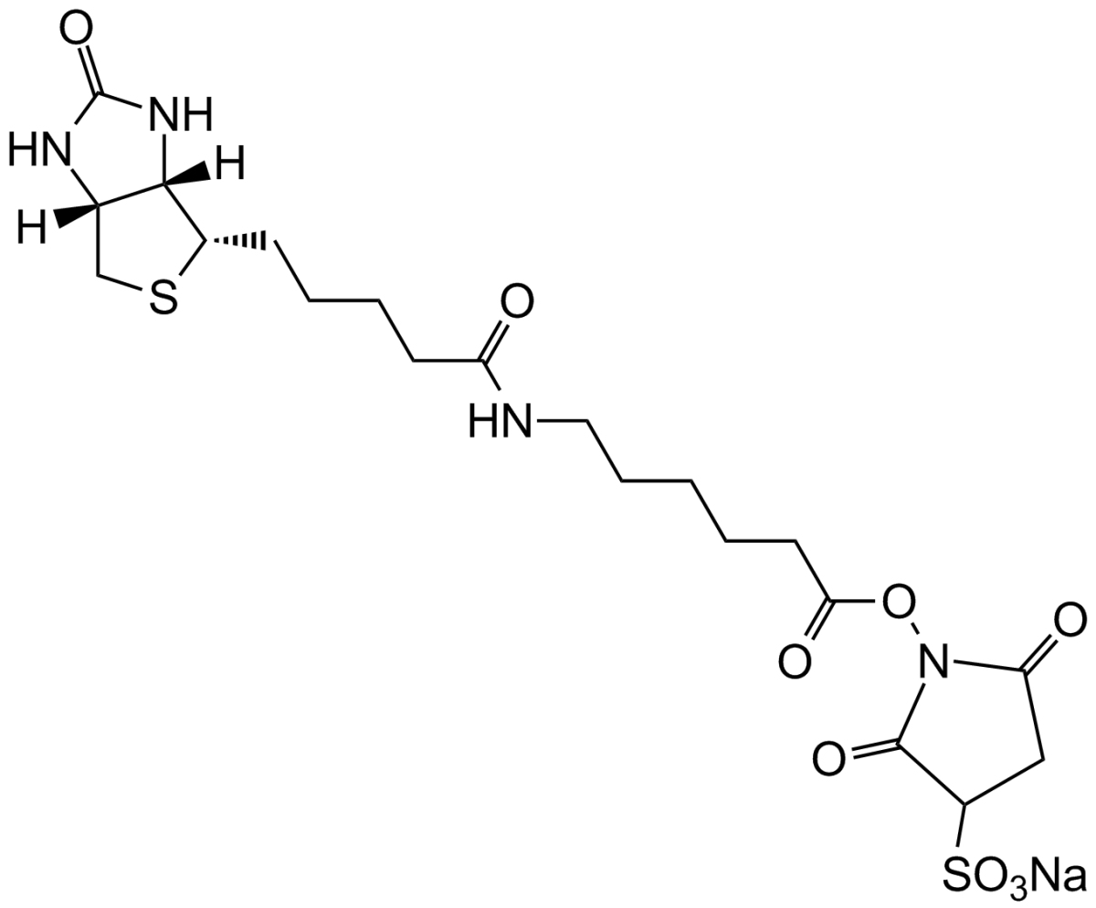 Sulfo-NHS-LC-Biotin sodiumͼƬ