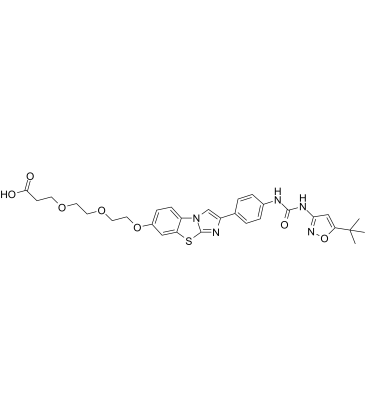 Desmorpholinyl Quizartinib-PEG2-COOHͼƬ