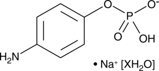 4-Aminophenyl Phosphate(sodium salt hydrate)ͼƬ