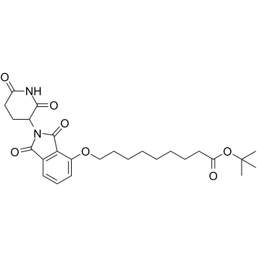 Thalidomide-O-C8-BocͼƬ