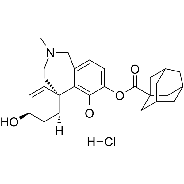 P11149ͼƬ