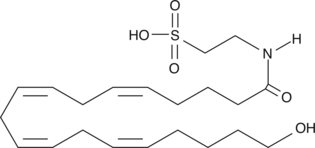 20-hydroxy N-Arachidonoyl TaurineͼƬ