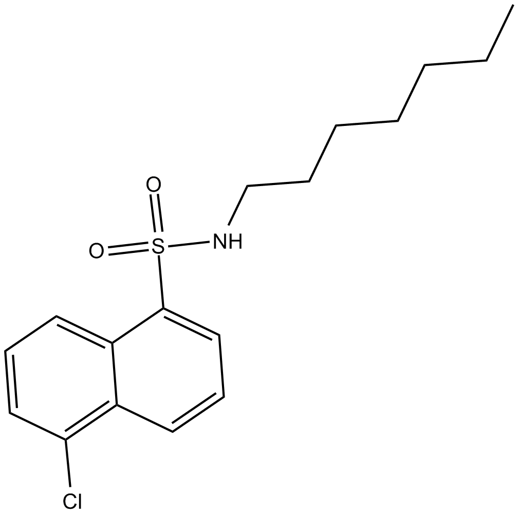 SC-10ͼƬ