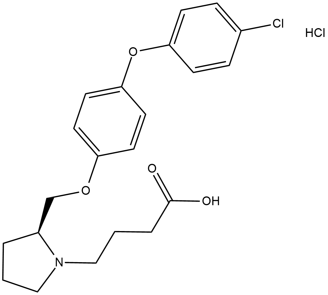 DG-051ͼƬ