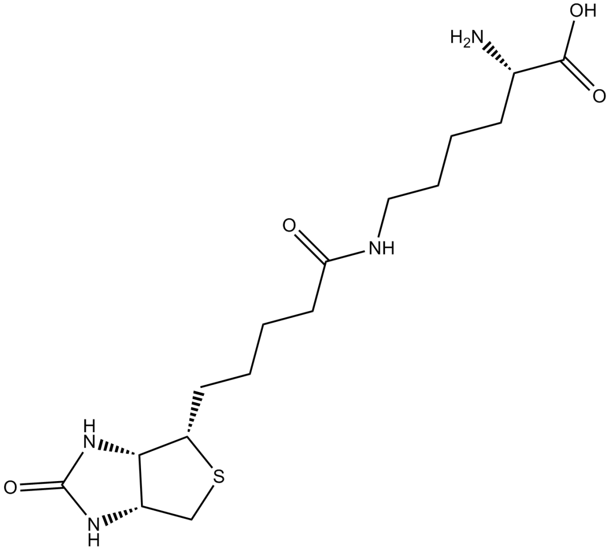 Biocytin图片