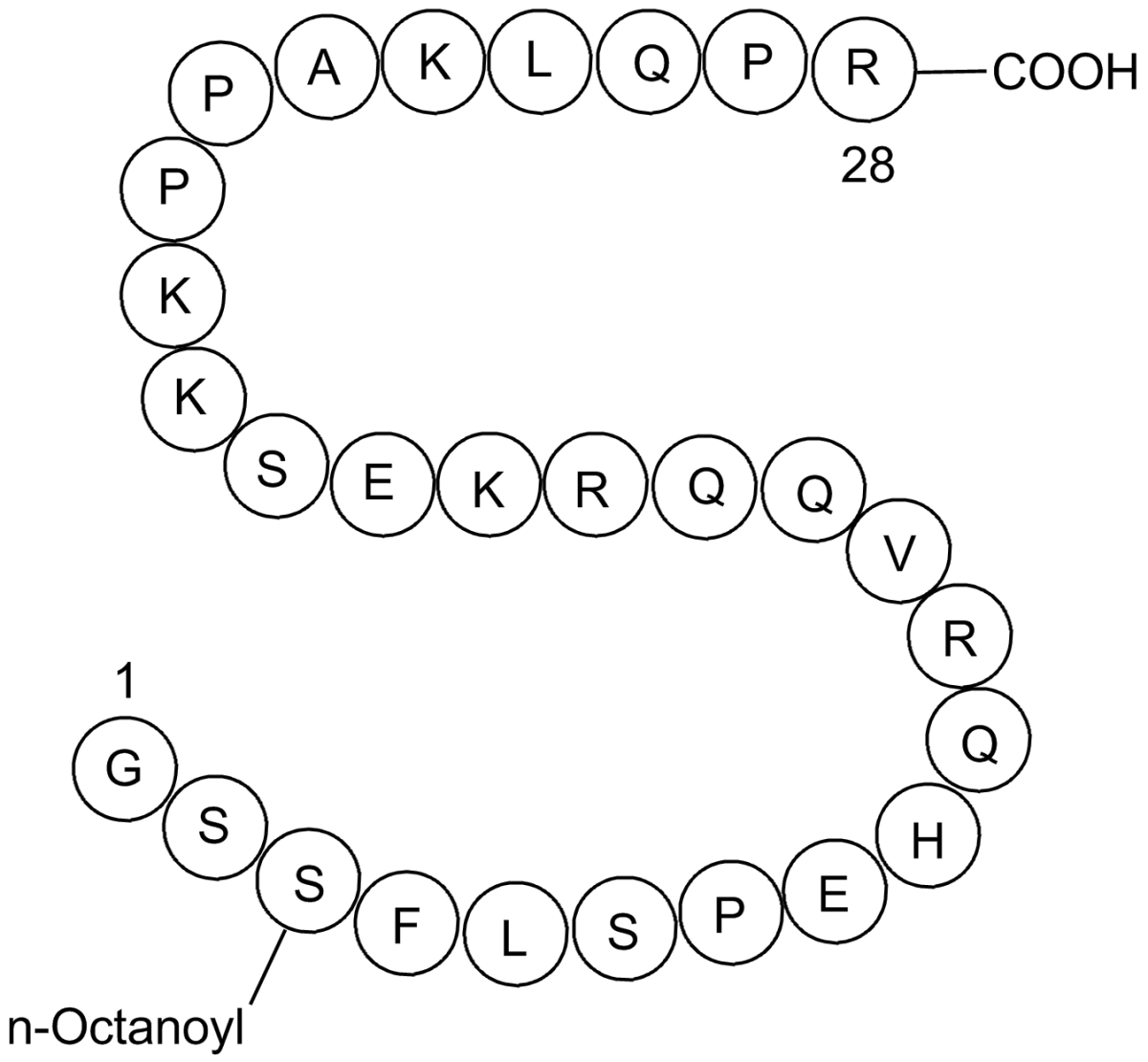 Ghrelin(human)ͼƬ