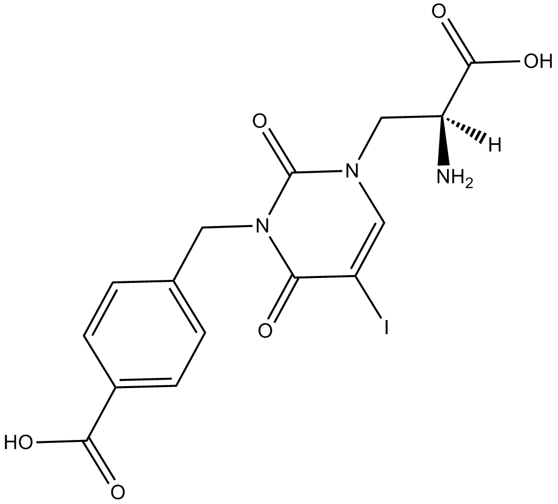 UBP 301ͼƬ