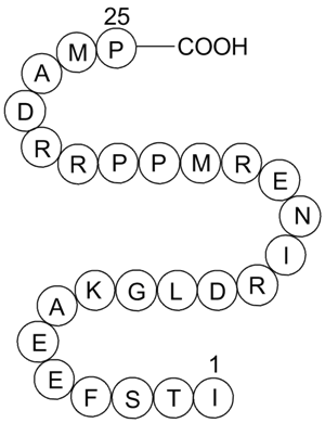 Calcineurin Autoinhibitory Peptide图片