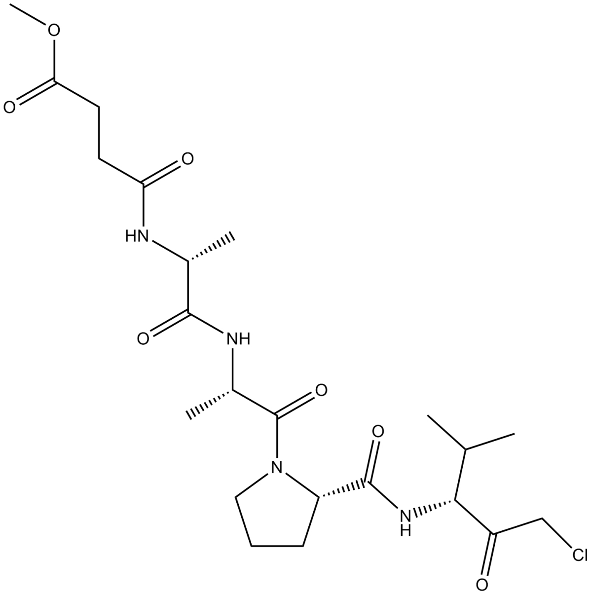 Elastase Inhibitor,SPCKͼƬ