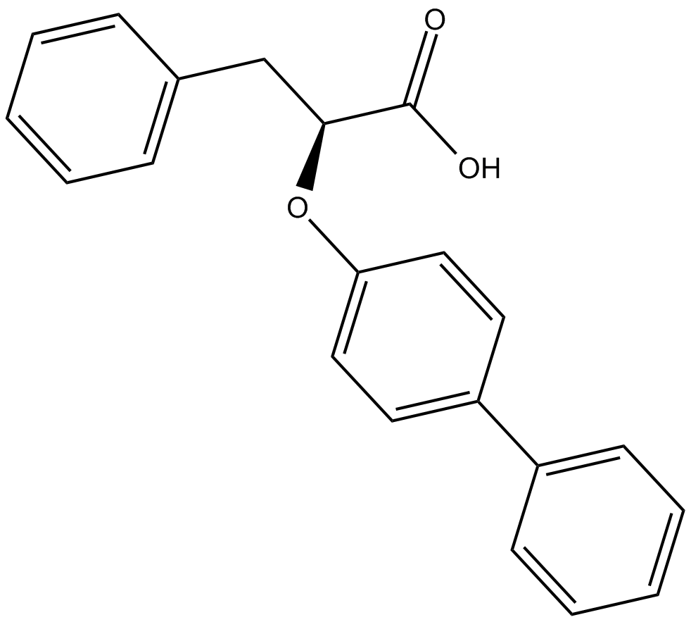 LT175ͼƬ