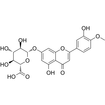 DiosMetin 7-O--D-GlucuronideͼƬ