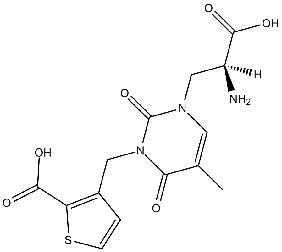 UBP 310ͼƬ