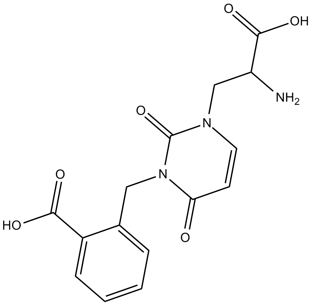 UBP 296ͼƬ