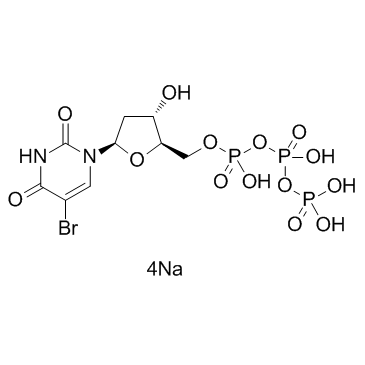 5-BrdUTP sodium salt(5-Bromo-2'-deoxyuridine 5'-triphosphate sodium salt)ͼƬ