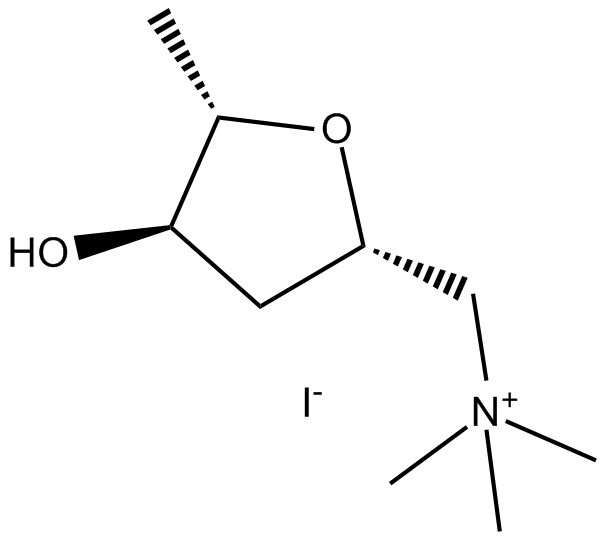 (+)-Muscarine iodideͼƬ