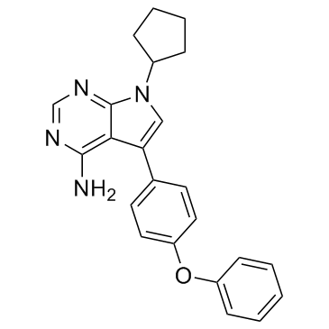 RK-24466(KIN 001-51)ͼƬ