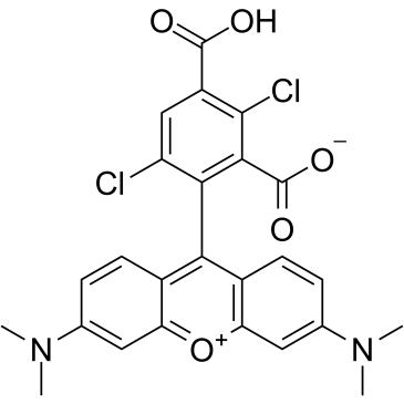 1,4-Dichloro 5-carboxytetramethylrhodamineͼƬ