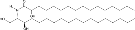 C16((±)-2'-hydroxy)dihydro Ceramide(d18:0/16:0)ͼƬ