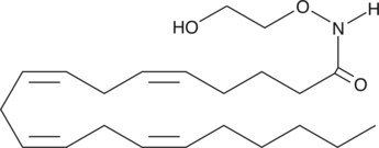 oxy-Arachidonoyl EthanolamideͼƬ