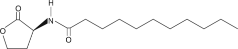 N-undecanoyl-L-Homoserine lactoneͼƬ