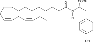 N-(-Linolenoyl)TyrosineͼƬ