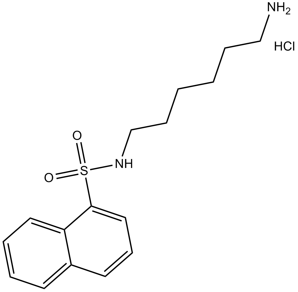 W-5 hydrochlorideͼƬ