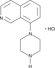 8-piperazin-1-yl-Isoquinoline(hydrochloride)ͼƬ