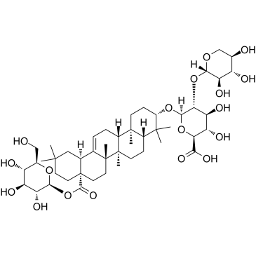 Pseudoginsenoside RT1ͼƬ