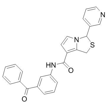 Tulopafant(RP 59227)图片