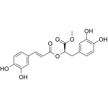 Methyl rosmarinateͼƬ